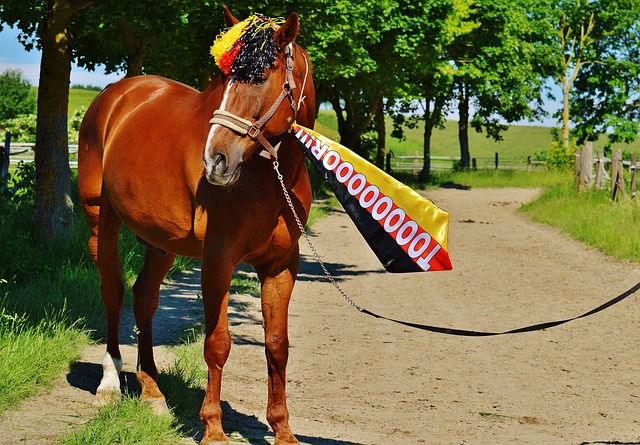 足球魔法 足球魔法