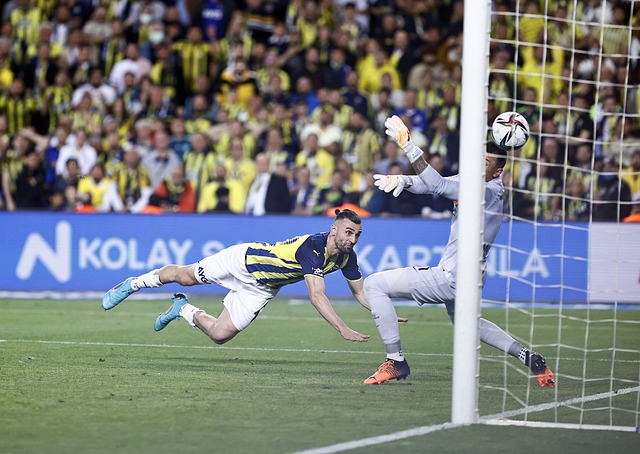 今年上合组 今年上合组