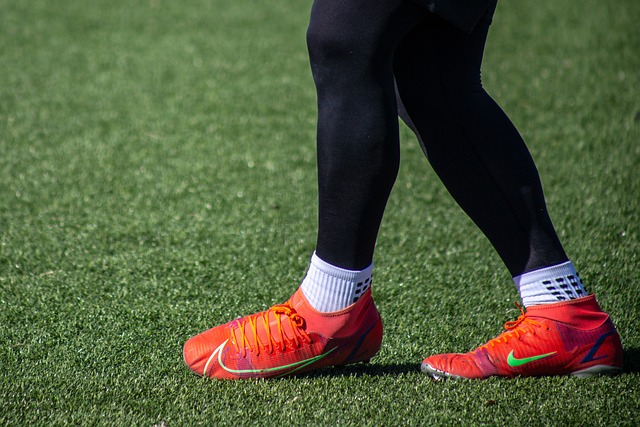 态异质化的 态异质化的