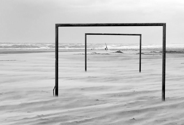 林蓬表现出 林蓬表现出