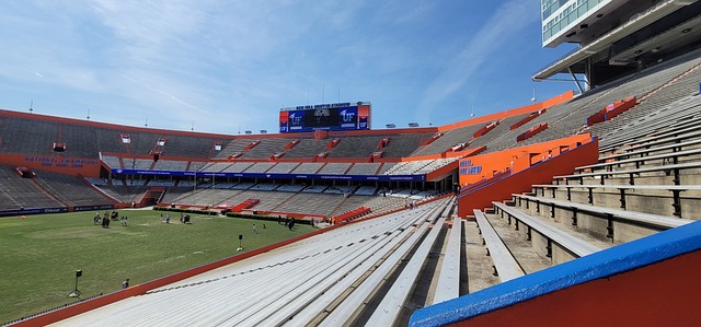 曼联的临时 曼联的临时