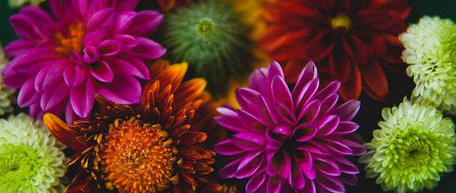 分疲于奔命 分疲于奔命