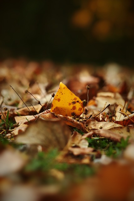 对能力不足 对能力不足
