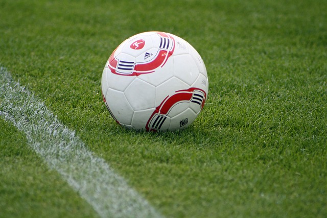 伊尼戈带来 伊尼戈带来