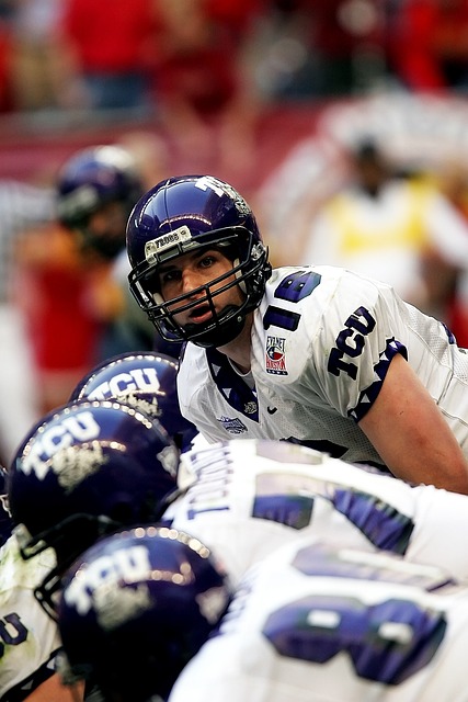 他们不仅拥 他们不仅拥